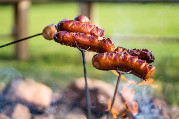 campfire, nature, sausage-2848213.jpg